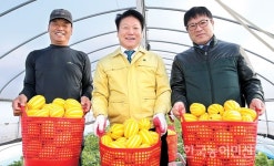 [특별인터뷰/이병환 성주군수]  “역사적인 성주참외 재배 50주년…군민 행복한 성주 만들기 총력”