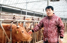 [화제의 인물] 청주 우시장 송아지 최고가 박종갑 씨