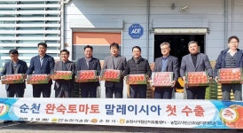 순천 토마토 말레이시아 수출 성공