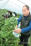 ‘판로가 사라졌다’…학교급식 납품농가 망연자실