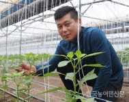 2020 농식품 수출 우수사례 <21>금곡농협 수출농단 꽈리고추작목반