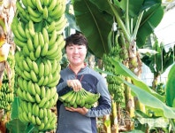 기후변화에 맞서 신소득 작목 육성