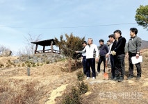 화개 ‘정금차밭’ 보전관리 활동 펼쳐