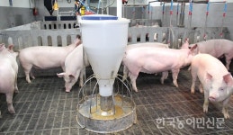 [축산업에 혁신을 입히다] 친환경 혁신모델·첨단시설로 무장…‘냄새 없는 농장’ 구현