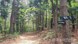 조용섭의 지리산이야기<37>지리산권 이순신 장군 백의종군로(8)하동읍성~북천면 화정리