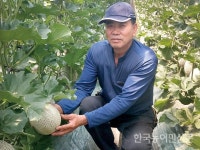 [농자재 특집/유니텍바이오산업(주) 효소유황] 흰가루, 잿빛곰팡이, 노균병 억제···잔류 걱정 없고 약값도 뚝