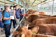 개량·육종 농가 지원 든든…한우 품질 제고 이끌어