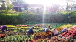 전남 농촌체험마을로 여름휴가 떠나세요