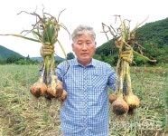 사용할수록 토양 좋아지는 중성화비료…전국 농가 인기몰이