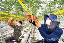 전북 임실 스마트팜 경영실습농장 영농체험학습 활발