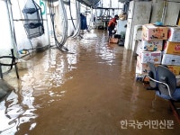 주먹구구 배수개선…수해 키웠다
