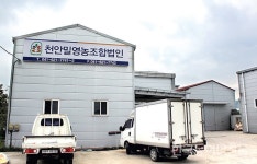 우리밀, 유통·가공을 잡아라 <3> 천안밀영농조합법인·우리밀 호두과자
