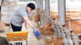 한국 농업의 산실, 농업고등학교에 가다 <3> 홍천농업고등학교