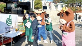 대한민국 대표한우, 강원한우 <하> 2020 온택트 강원한우축제