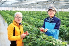 디지털 기반의 수출농업 안전망 구축, 농산물 수출전문단지