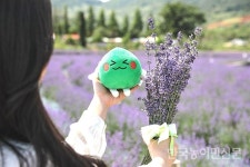 위드 코로나 시대, 다시 마을이다 <2> 광양 본정마을