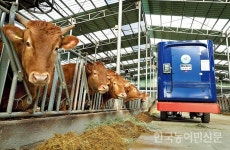 한우사료 공급 로봇으로