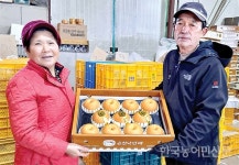 순천 ‘낙안배’ 몽골에 첫 수출 성공