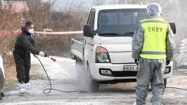 전북 남원·임실 AI 방역대 해제…지난 2일부터