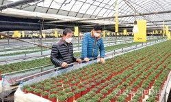 김해시 “화훼농가 어려움 함께 나눕니다”