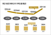 돼지고기 도매가 생산비 밑도는데…소비지 금삼겹 논란 한숨