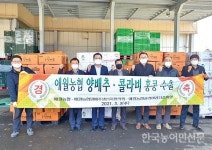 제주 양배추·콜라비 홍콩길