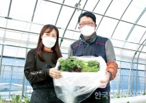 [농, 다시 봄] 가성비 갑 쌈채소로 감동 전달…나비를 꿈꾸는 애벌레 부부