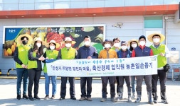 농협경제 축산기획부 일손 돕기