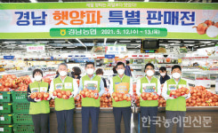 경남농협, 김해서 햇양파 특판전