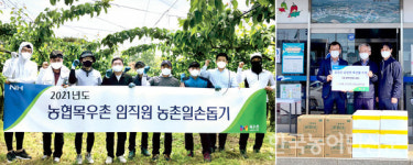 농협 목우촌·음성축산물공판장, 영농철 일손 돕고 축산물도 나누고
