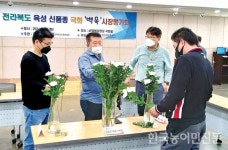 저온 개화성 뛰어난 백옥 국화, 합격점