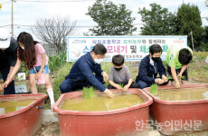 전북-전북교육청, 초등생 손 모내기 체험