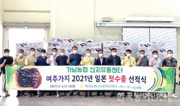 여주 금보라 가지 일본 수출길 올라