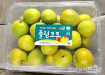 농진청, 플럼코트 판매 지원 팔 걷었다