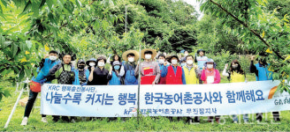 농어촌공사무진장지사 봉지 씌우기