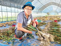 현장에서 만난 우수 농업경영인 <113> 지윤정 이천 마장면 농업경영인
