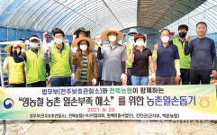 전북농협-전주보호관찰소, 진안 양파수확 일손돕기