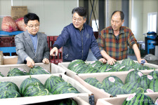 주목, 한국의 고부가가치 농식품 <53> 정읍단풍미인조합공동사업법인
