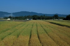 농지투기 방지 3법 국회 통과, 무엇이 어떻게 바뀌나