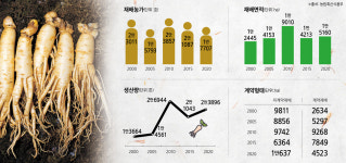 [흔들리는 인삼산업] 소비패턴 변화에 둔감…수삼시장 '예고된 침체' 대응 못해