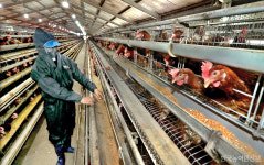 군 급식 품질 저하·수입산 대체 우려…지역 농축산물 공급 정책 역행