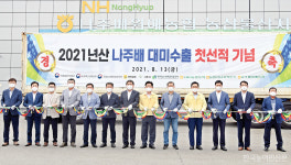 국산 배 호주 수출 올해도 이상 무