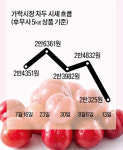 [품목포커스/자두] 추희 출하 본격화…시세 안정 이어갈 듯