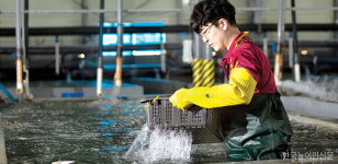 주목, 한국의 고부가가치 농식품 <59> 완도전복주식회사