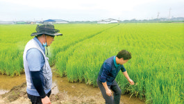 [농자재 특집/세안농기계 무논담수점파 직파기] 강제 배출 투하 방식으로 국제특허…앵미와 제초 동시 해결