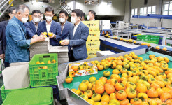 주목, 한국의 고부가가치 농식품 <63> 북창원농협