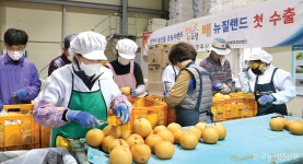주목, 한국의 고부가가치 농식품 <65>한국배영농조합법인