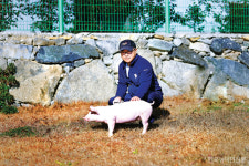 함양 위니지농장, 청정축산 환경대상 대통령상 영예