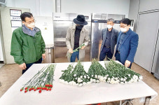 미세플라스틱·중금속 위험…국립묘지 내 중국산 조화 금지를