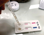 경북도농업기술원, 마 토양 내 병원균 사전 진단키트 공급